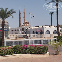 фото из отзыва ID 2711476