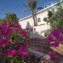 фото из отзыва ID 2711476