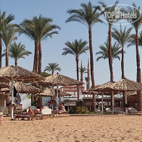 фото из отзыва ID 2711476