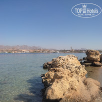 фото из отзыва ID 2711476