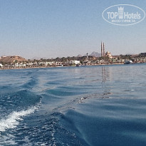 фото из отзыва ID 2711476