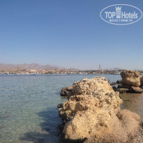 фото из отзыва ID 2711476