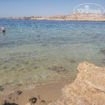 фото из отзыва ID 2711476