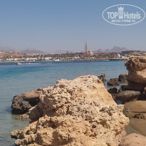 фото из отзыва ID 2711476