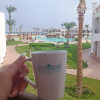 фото из отзыва ID 2718851