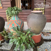 фото из отзыва ID 2719213