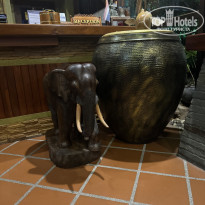 фото из отзыва ID 2719213