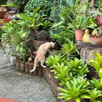 фото из отзыва ID 2719213