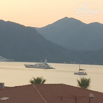 фото из отзыва ID 2719234