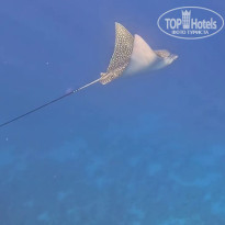 фото из отзыва ID 2713922