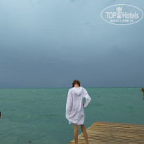 фото из отзыва ID 2710415