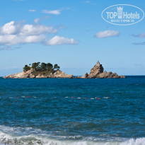 фото из отзыва ID 272455