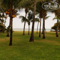 фото из отзыва ID 272683