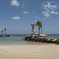 фото из отзыва ID 272701