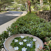 фото из отзыва ID 2720004