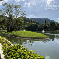 фото из отзыва ID 2720004