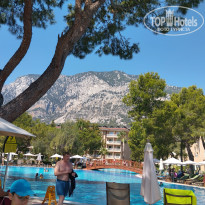 фото из отзыва ID 2720008