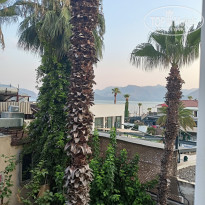 фото из отзыва ID 2720021