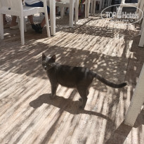 фото из отзыва ID 2720021