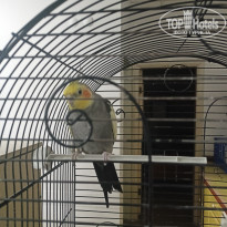 фото из отзыва ID 2720021