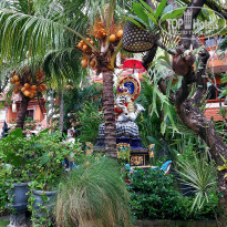 фото из отзыва ID 2720025