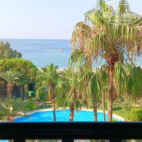 фото из отзыва ID 2720028