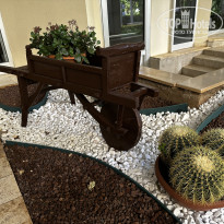 фото из отзыва ID 2720088