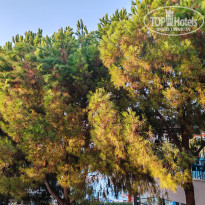 фото из отзыва ID 2720099