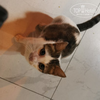 фото из отзыва ID 2720106