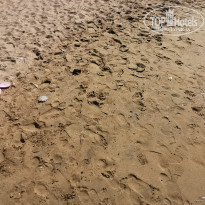 фото из отзыва ID 2720106