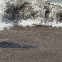 фото из отзыва ID 2720101