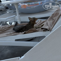 фото из отзыва ID 2720101