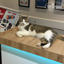 фото из отзыва ID 2720101