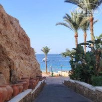 фото из отзыва ID 2720142