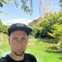 фото из отзыва ID 2720160