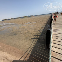 фото из отзыва ID 2720170