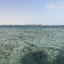 фото из отзыва ID 2720170