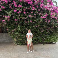 фото из отзыва ID 2720170