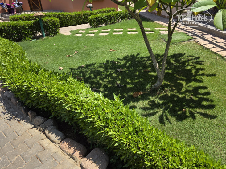 New photos from tourists Nubian Island 5*