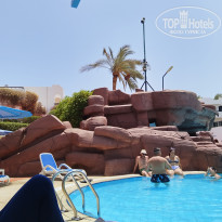 фото из отзыва ID 2720191