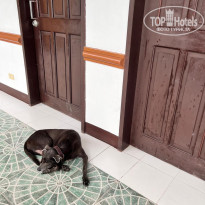 фото из отзыва ID 2720199