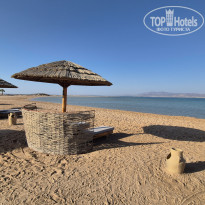 фото из отзыва ID 2720225