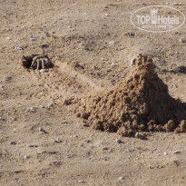 фото из отзыва ID 2720225