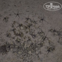 фото из отзыва ID 2720225