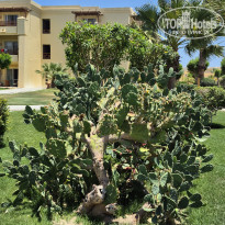 фото из отзыва ID 2720225