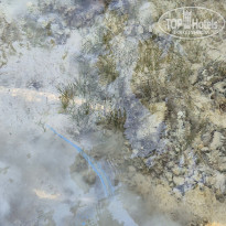 фото из отзыва ID 2720225