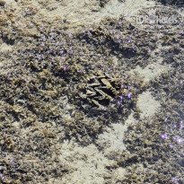 фото из отзыва ID 2720225