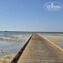 фото из отзыва ID 2720225