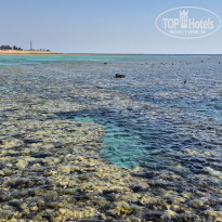 фото из отзыва ID 2720225