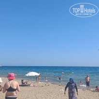 фото из отзыва ID 2720249